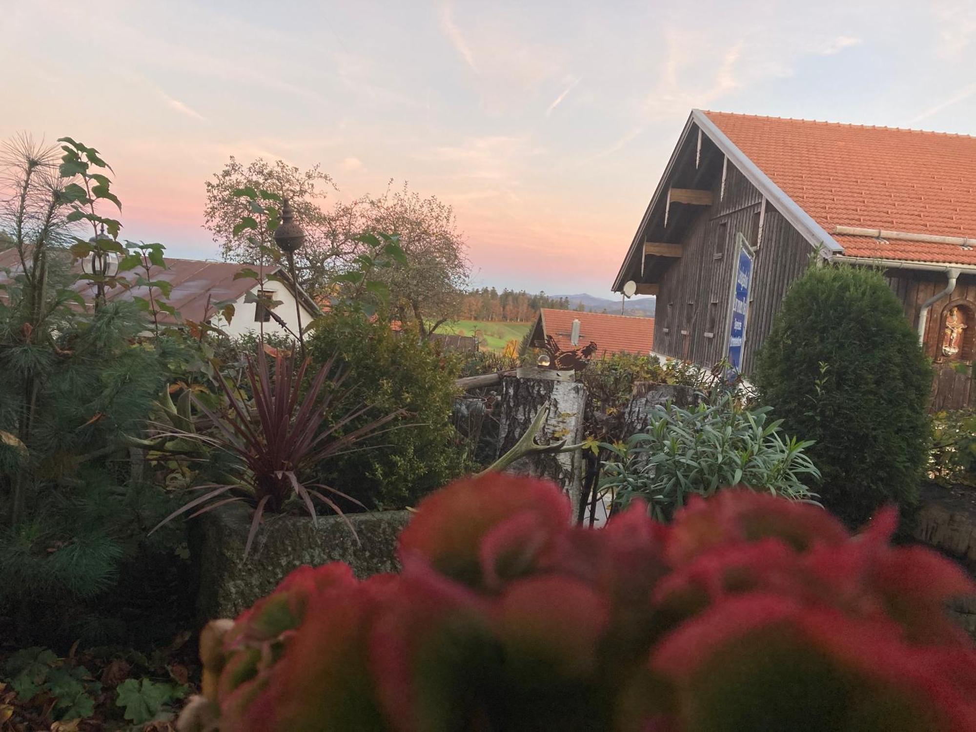 Zur Neuen Post Landgasthof Herzogsreut 外观 照片