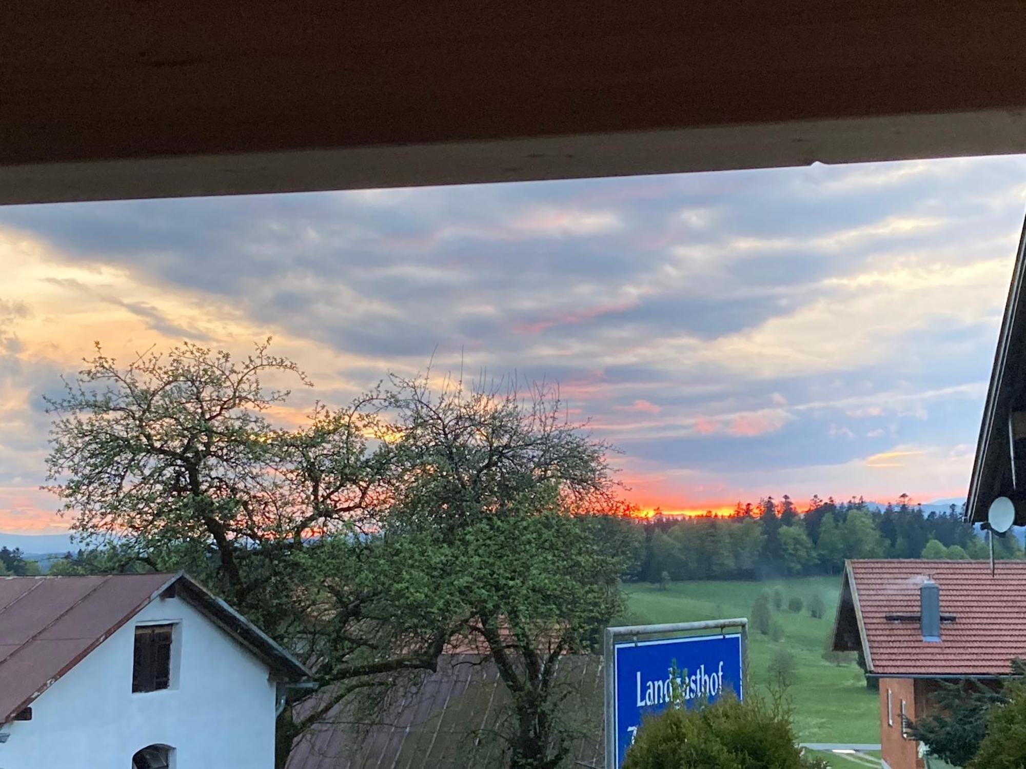 Zur Neuen Post Landgasthof Herzogsreut 外观 照片