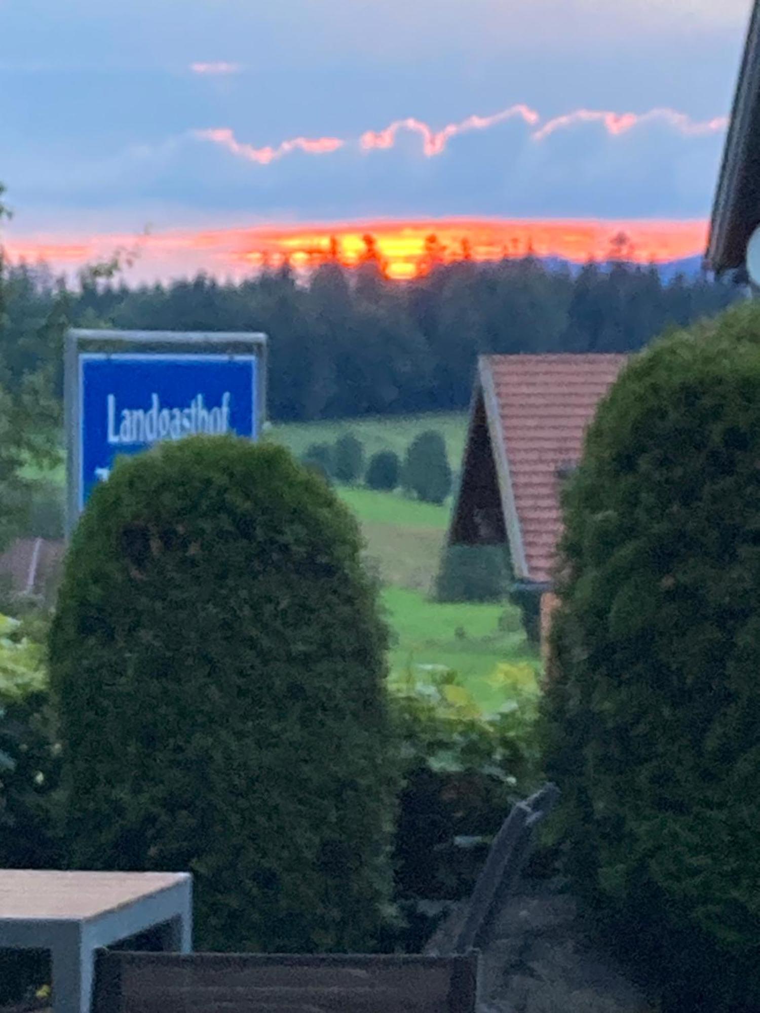 Zur Neuen Post Landgasthof Herzogsreut 外观 照片